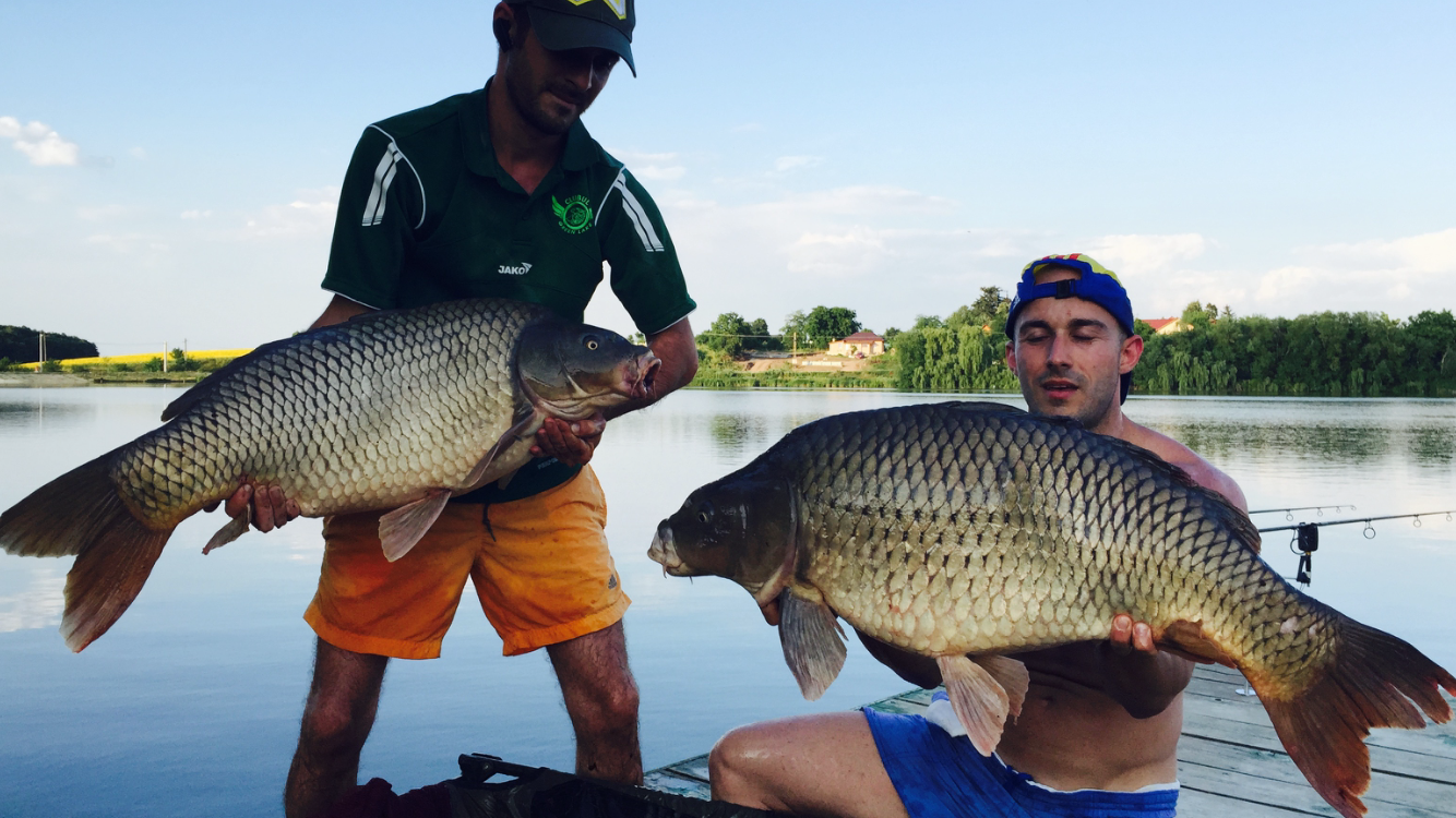 Moara Vlasiei 2 \ 1 - 2 iulie 2015 - img1830.PNG